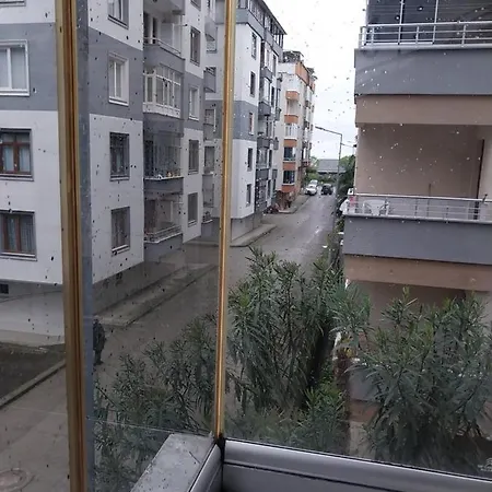 Ece Trabzon